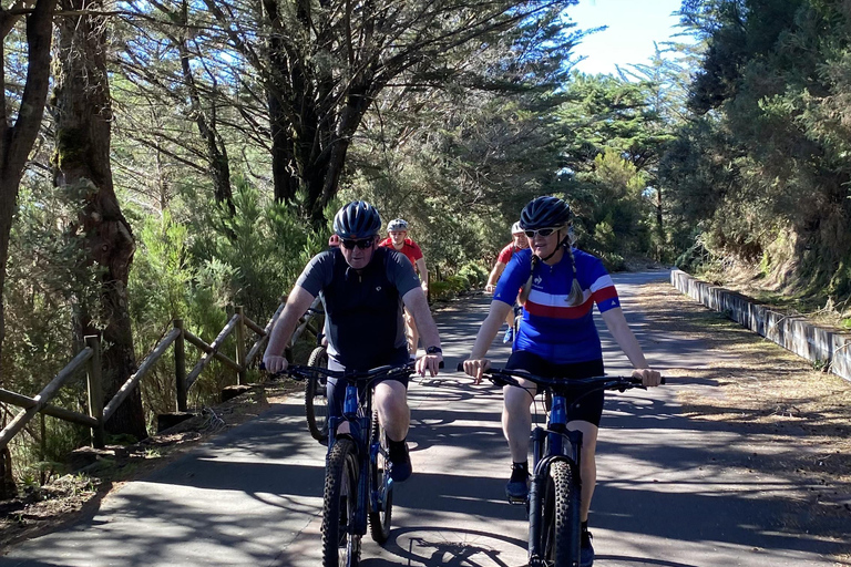 Half-Day Cross-Country Mountain Biking in Madeira Cross Country - Mountain Bike Tour. Half day +
