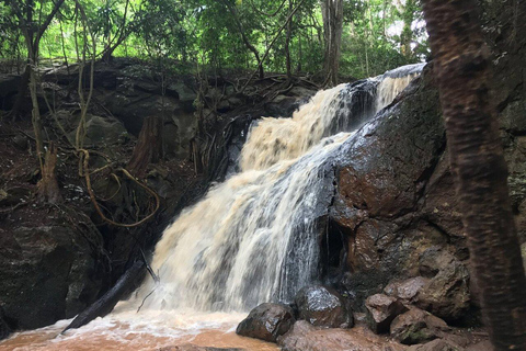 Nairobi: Karura Forest Walk & Waterfall Experience Tour
