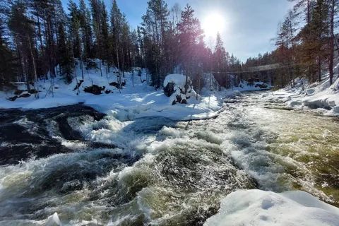 Ruka: Park Narodowy Oulanka Kìutaköngäs z lunchem.