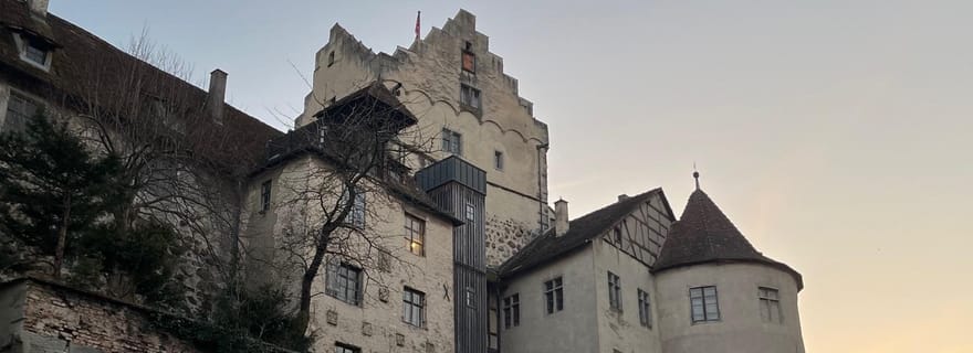 Au départ de Bâle : visite privée en voiture des 4 pays et du lac de Constance