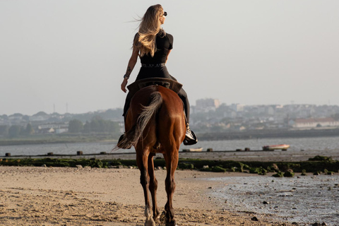 Horseback Riding On The Beach At Sunset
