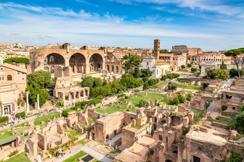 Rome: Colosseum Arena, Roman Forum & Palatine Hill Tour Only Arena Express Tour with Roman Forum and Palatine Hill