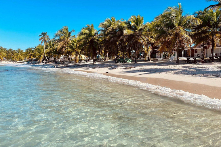 Punta Cana: Saona Island Tour with Lunch and Drinks