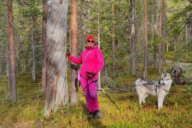 Sipoonkorpi National Park: Guided husky hike