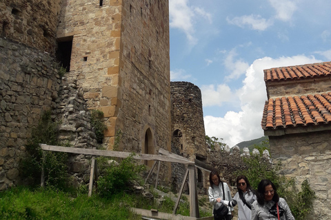 Tour privado de día completo a las montañas de Gudauri y Kazbegi