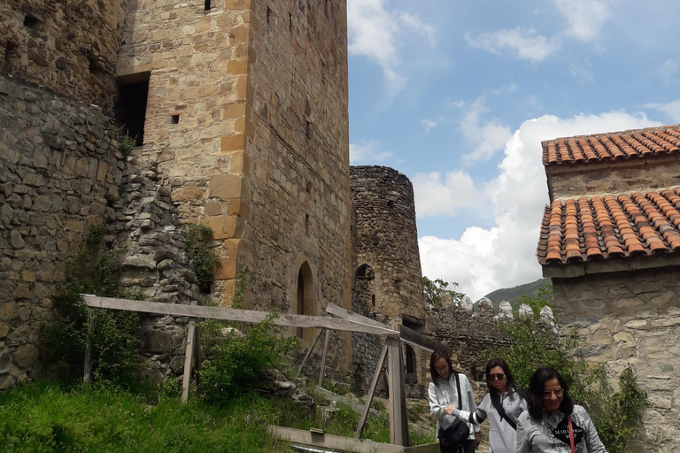 Excursão guiada particular de 1 dia para as montanhas Gudauri e Kazbegi