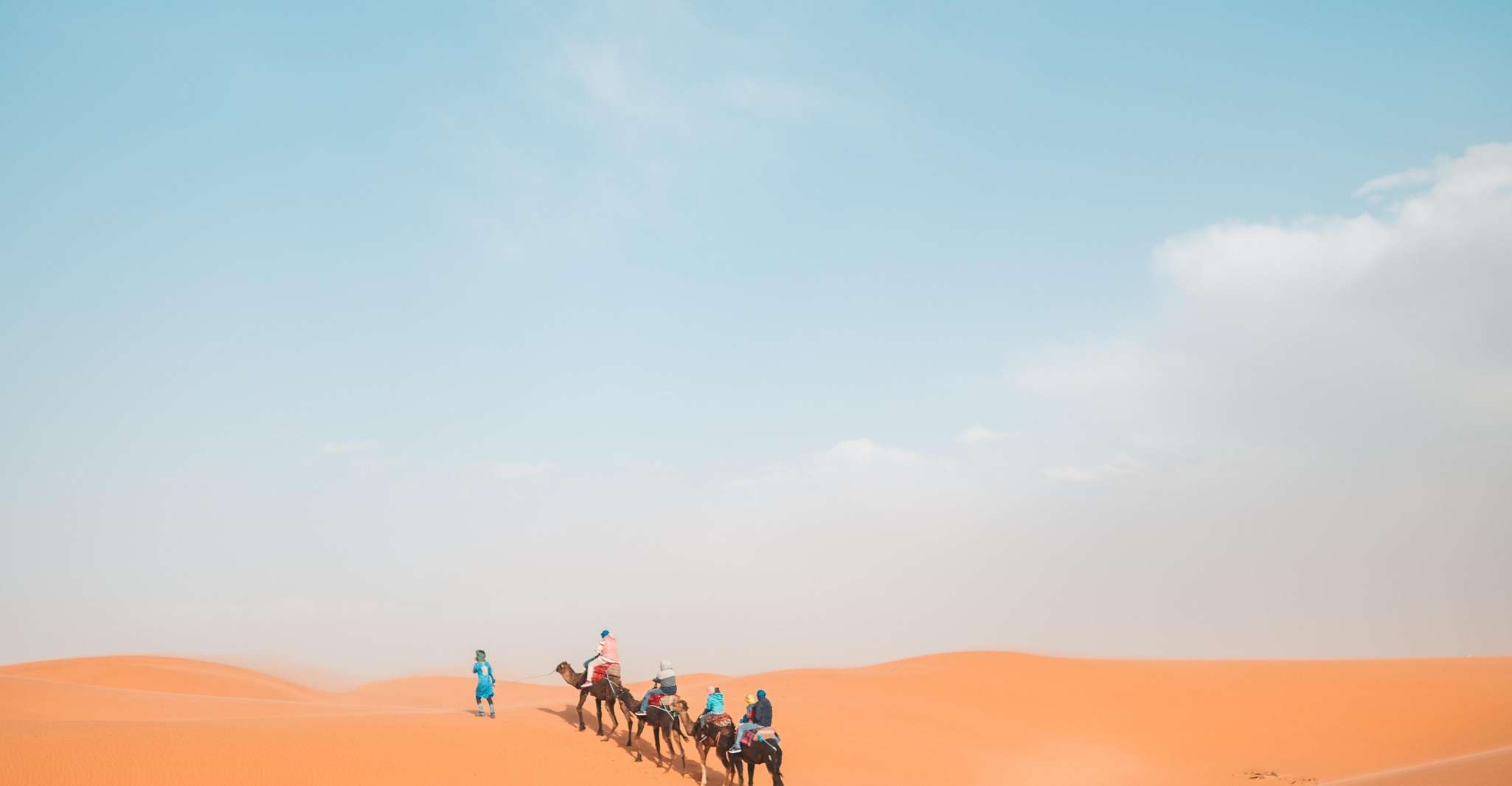 Doha: Desert Safari, Dune Bashing, Sandboarding, Camel Ride photo 13