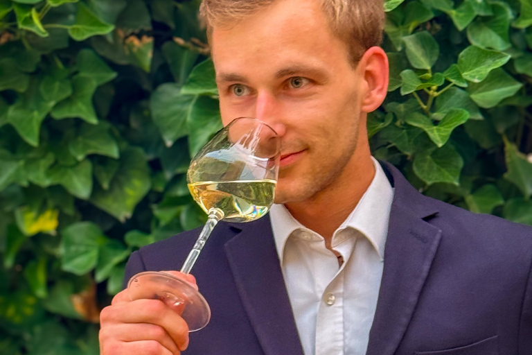 Reims Half-Day Tour: 2 Champagne Producers with 6 Wine Tastings Reims Half-Day Tour: 2 Champagne Producers with 6 Food Tastings