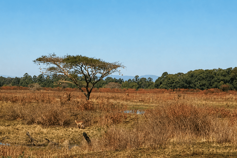 JHB: 4-Day Adventure; Panorama Route, Eswatini, & Mozambique