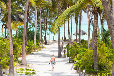 Swahili cave, the rock restaurant and Paje beach