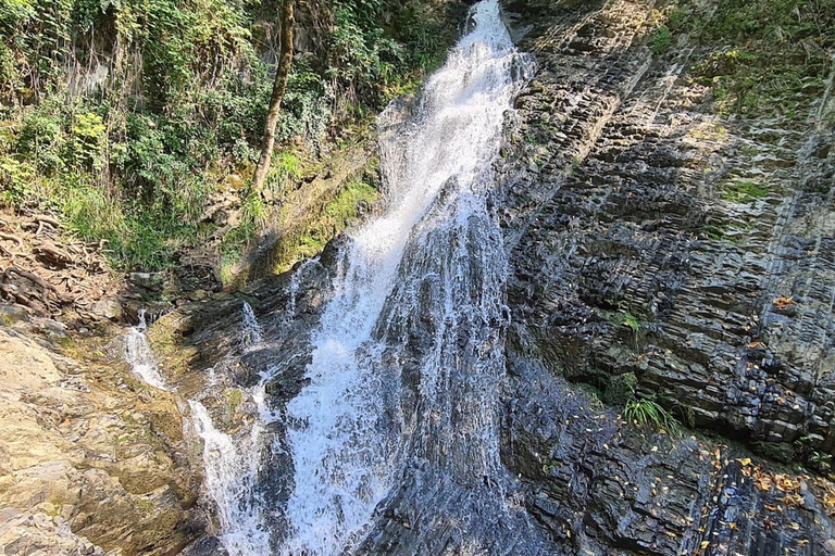 Visite de groupe à Gabala