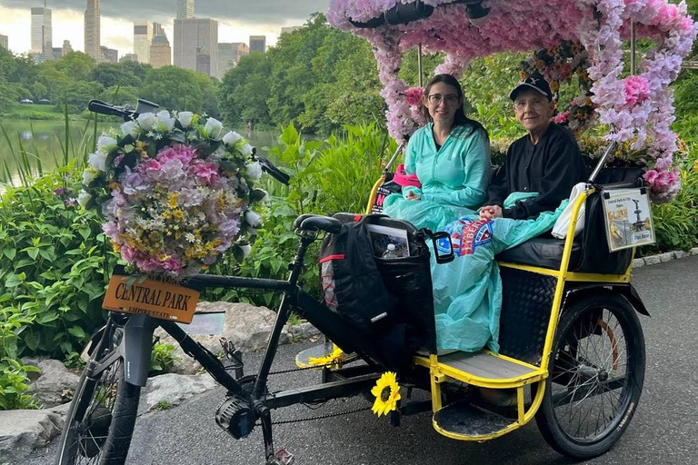 NYC: Central Park hoogtepunten fietstaxitour
