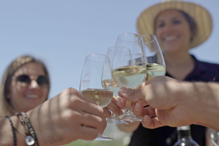 Desde Málaga: Ronda y Experiencia en Bodegas con Cata de VinosTour por España