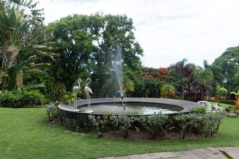 Basseterre Plantage Halve Dag Tour