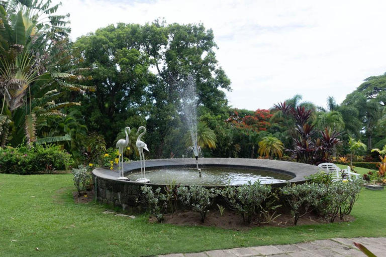 Basseterre Plantage Halve Dag Tour