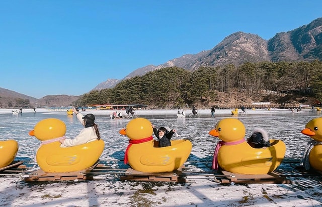 Seoul: Winter Day Tour in Pocheon with Strawberry Picking