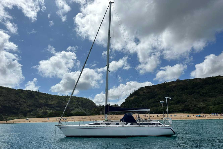 Oahu : Waikiki sailing turtle snorkeling in small groups Oahu : Waikiki sailing turtle snorkeling
