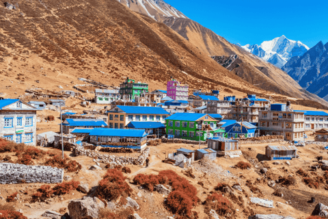 From Kathmandu: Langtang Valley Trekking Adventure