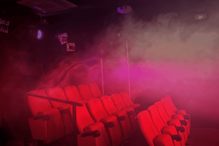 Evening Meal & Show in Avignon