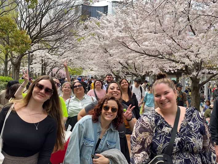 Osaka: Picnic primaveral de Sakura "Hanami"