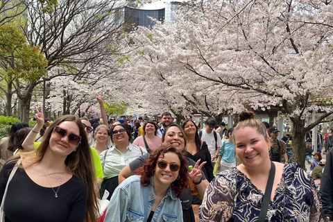 Osaka: Springtime Sakura Picnic "Hanami"
