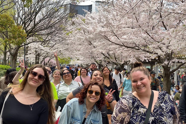 Osaka: Springtime Sakura Picnic "Hanami"