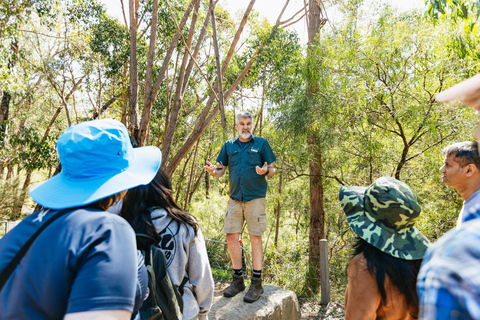 Från Melbourne: Gruppresa till nationalparken GrampiansFrån Melbourne: Grampians nationalpark – rundtur i grupp