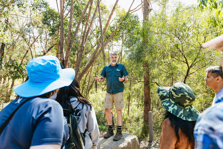 Vanuit Melbourne: Grampians National Park GroepstourVanuit Melbourne: Grampians National Park groepsreis