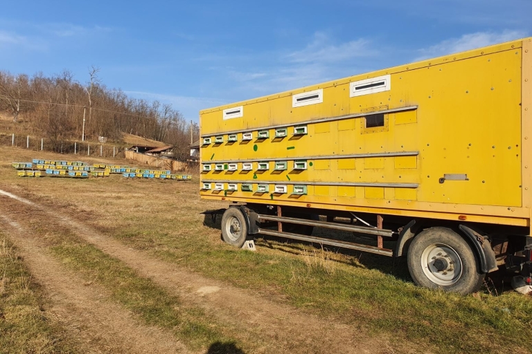 De Bucarest: leçon d'apiculture privée et déjeuner localDe Bucarest: cours d'apiculture privé et déjeuner local