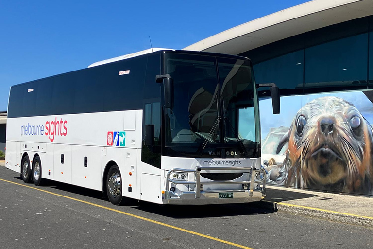 Depuis Melbourne : Circuit express de la parade des pingouins de Phillip Island