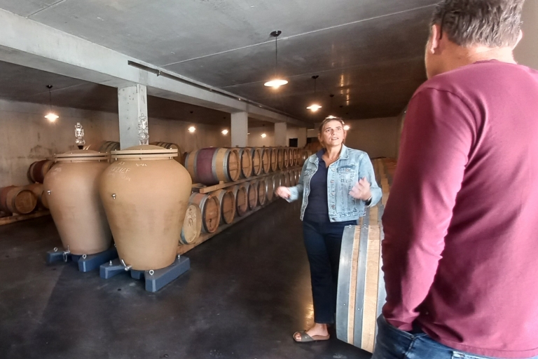 From Bordeaux: Graves Vineyard Half-Day Trip with Wine
