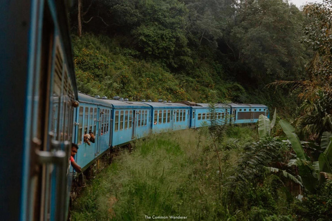 Kandy: Nanu Oya Scenic Train Journey with Ticket Assistance Kandy: Nanu Oya Scenic Train Journey in 1st/2nd class Cabin
