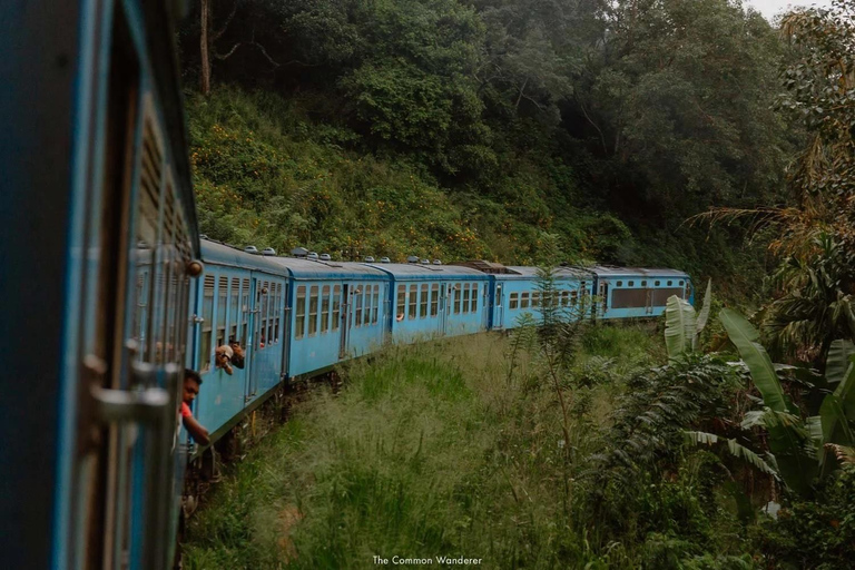 Kandy: Nanu Oya Scenic Train Journey with Ticket Assistance Kandy: Nanu Oya Scenic Train Journey in 1st/2nd class Cabin