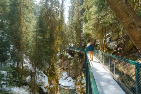 From Banff/Canmore: Lake Louise & Johnston Canyon Adventure