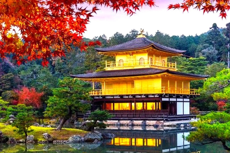 Visite touristique privée de 4 jours à Kyoto, Osaka et Nara avec guide