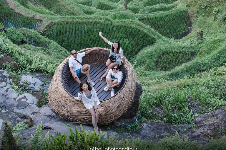 Ubud: wodospad, świątynia na wodzie, taras widokowy, targ w Ubud