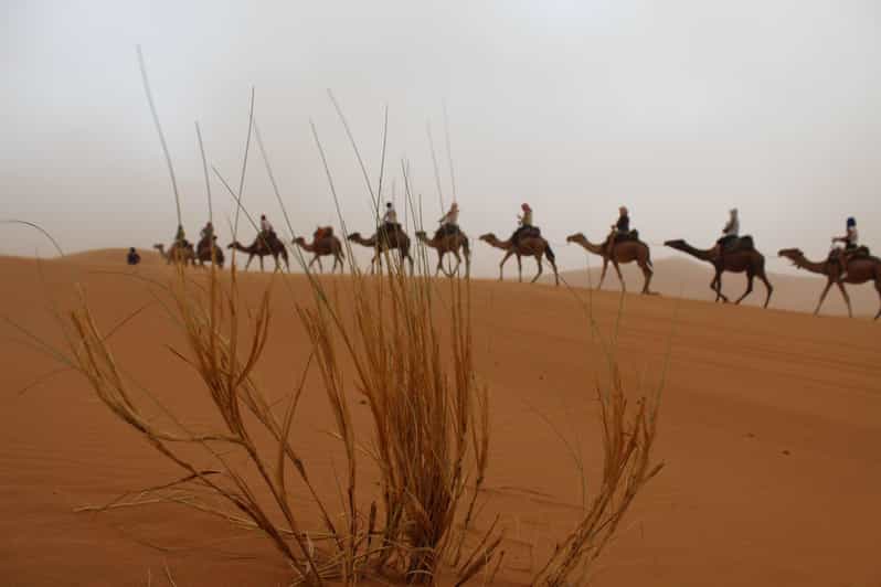 Depuis Marrakech : 4 jours dans le désert de Merzouga avec chameau et quad - quad