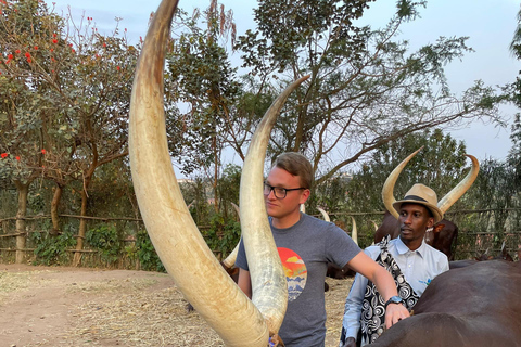 Kigali: King&#039;s Palace Museum &amp; Coffee Plantation Tour