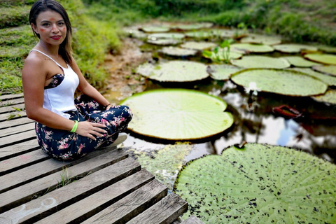 EXPERIÊNCIA COM OS TIKUNAS DA AMAZÔNIASAFÁRI NA AMAZÔNIA