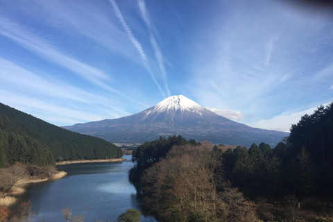 Mt Fuji Lake Tanuki & Makaino Farm Day Tour with Pickup 8:00 Meet at Tokyo Station Marunouchi North