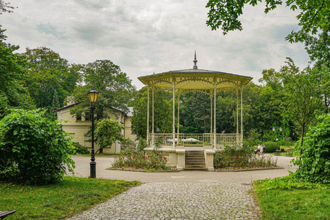 Łódź: Most Remarkable Factory Distric Private Guided Tour Księży Młyn Private Walking Tour (2h)