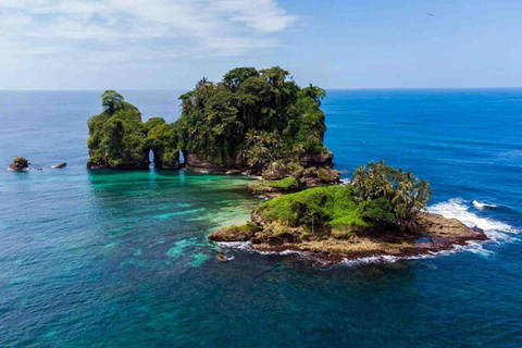 Isla Colon : L&#039;île aux oiseaux, Boca del Drago et Starfish Beach...