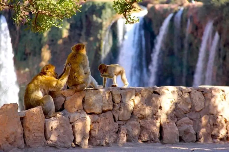 De Marrakech: Excursão de um dia às cachoeiras de Ouzoud