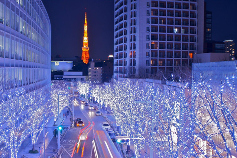 Tokyo Private Sightseeing Tour Customizable with Guide