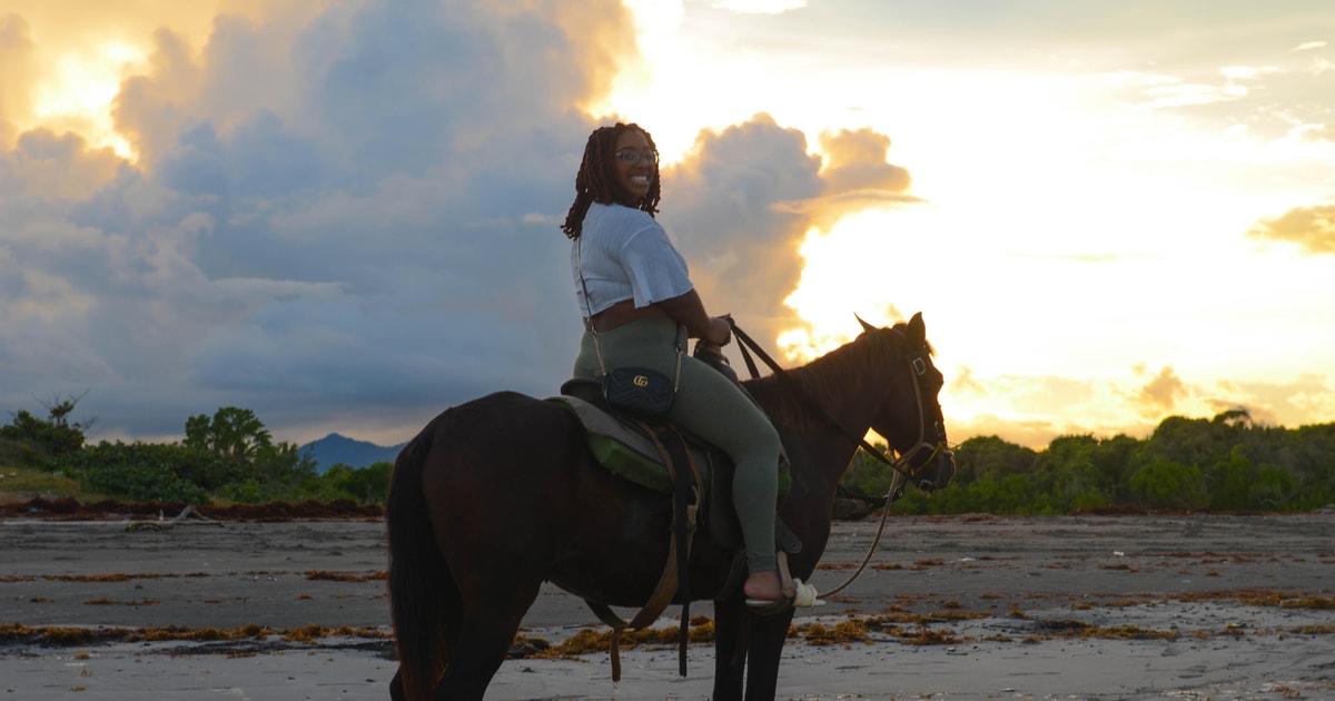 Punta Cana Beach Sunset Horseback Riding with Hotel Pickup GetYourGuide