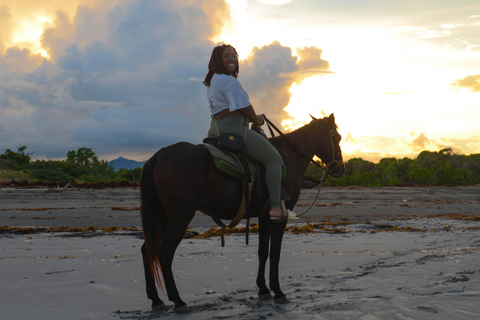 Punta Cana: Paardrijden bij zonsondergang aan het strand met ophaalservice vanaf je hotelWe kunnen altijd coördineren als we beschikbaar zijn.