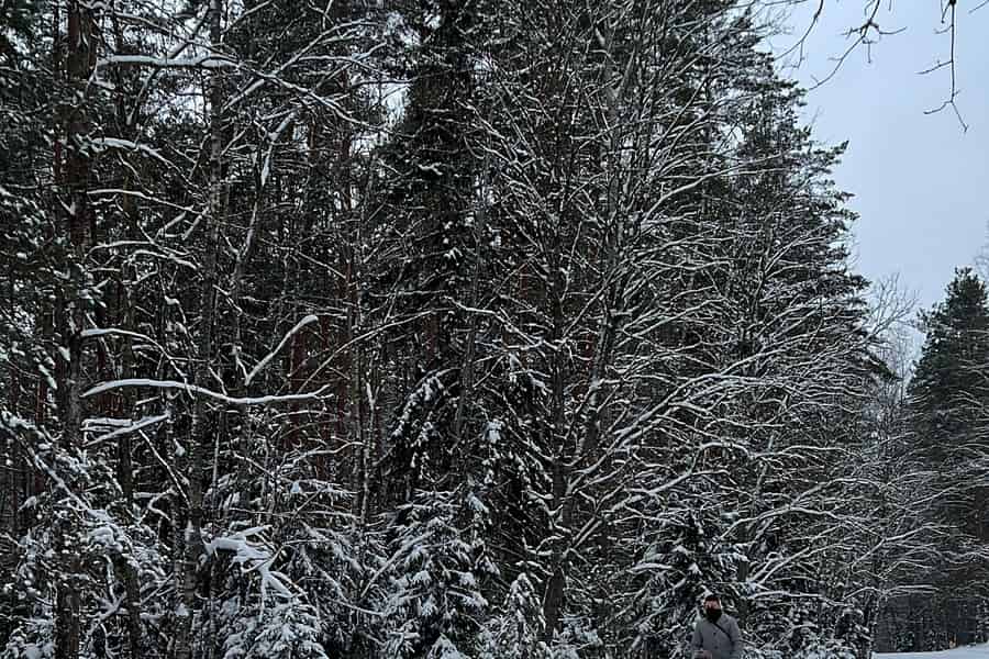 Tallinn: Husky-Schlittenfahrt mit Transfer. Foto: GetYourGuide Tallinn: Husky-Schlittenfahrt mit Transfer. Foto: GetYourGuide