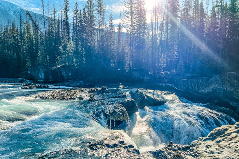Emerald Lake, Wapta Falls, and Takakkaw Falls Tour in Banff
