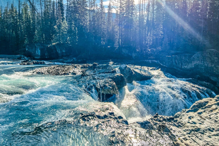 Emerald Lake, Wapta Falls, and Takakkaw Falls Tour in Banff