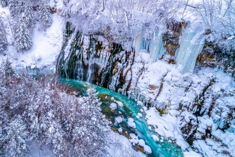 Sapporo: Asahiyama Zoo, Shirahige Falls /w Lunch & Ticket 7:50 Meet at Sapporo TV Tower